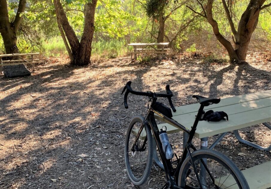 Cycling stop in a sunlit wooded area